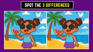 Spot the Difference: Can you Spot the 3 Differences in this Girl on the Beach Im...