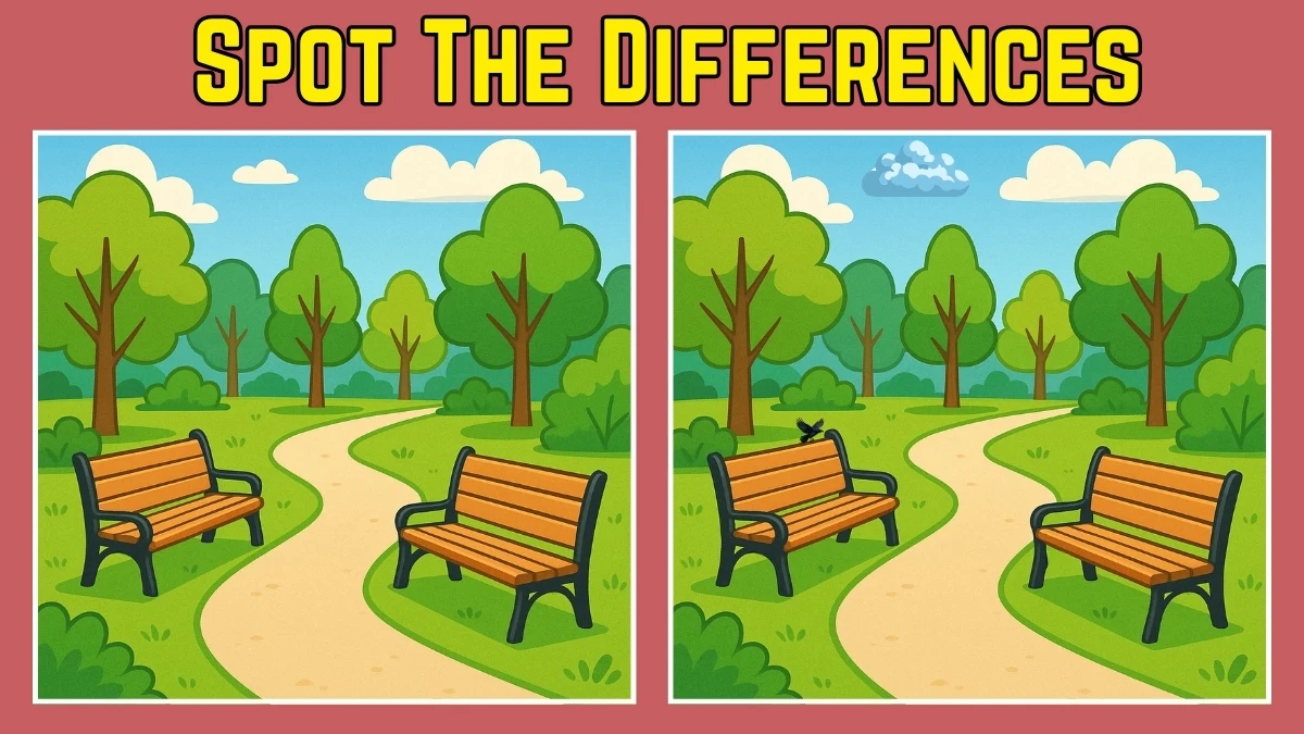 Spot The Difference: Do You Have an Eagle Eye? Test Your Observation Skills! Find 3 Differences in 15 Secs