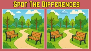 Spot The Difference: Do You Have an Eagle Eye? Test Your Observation Skills! Fin...