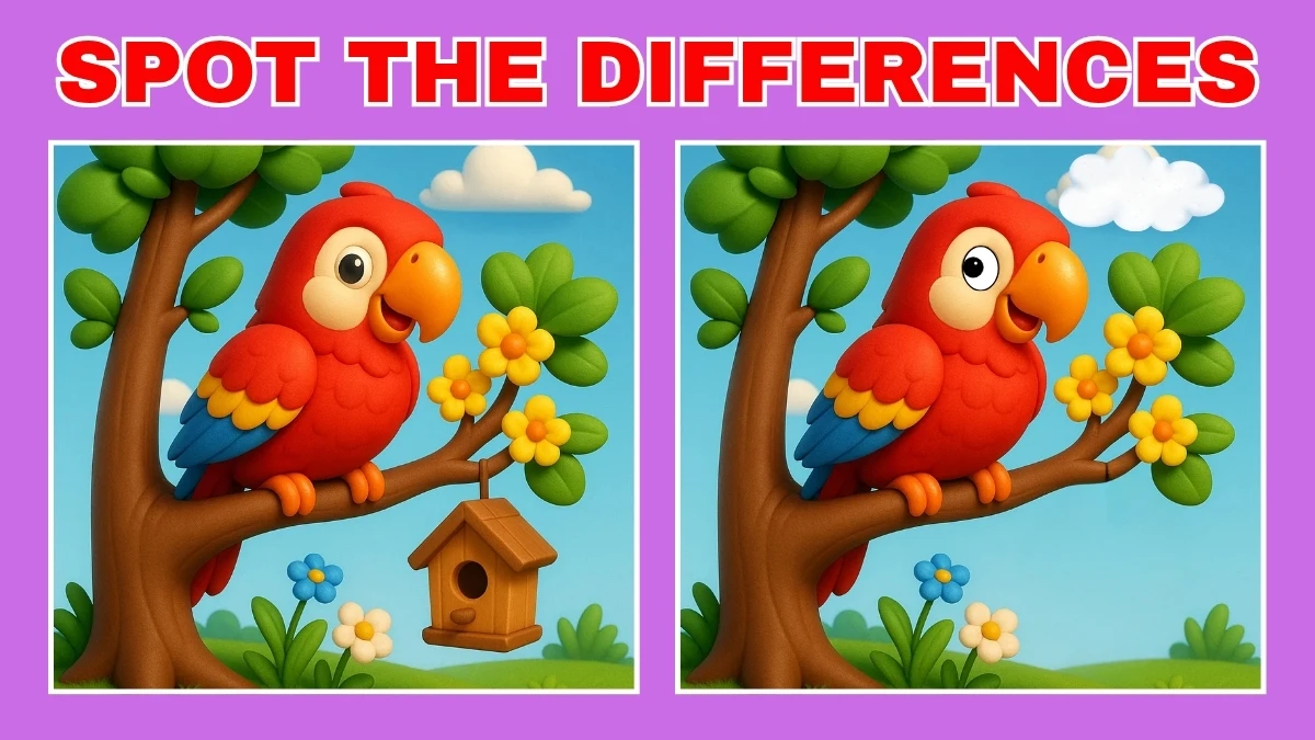 Spot The Difference: Do You Have an Sharp Eye? Test Your Observation Skills! Find 3 Differences in 10 Secs