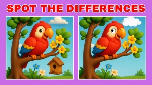 Spot The Difference: Do You Have an Sharp Eye? Test Your Observation Skills! Fin...