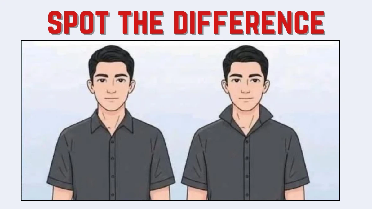 Spot the Difference Game: Can You Spot the Hidden Difference in 6 Seconds? Only Geniuses Will Find It!