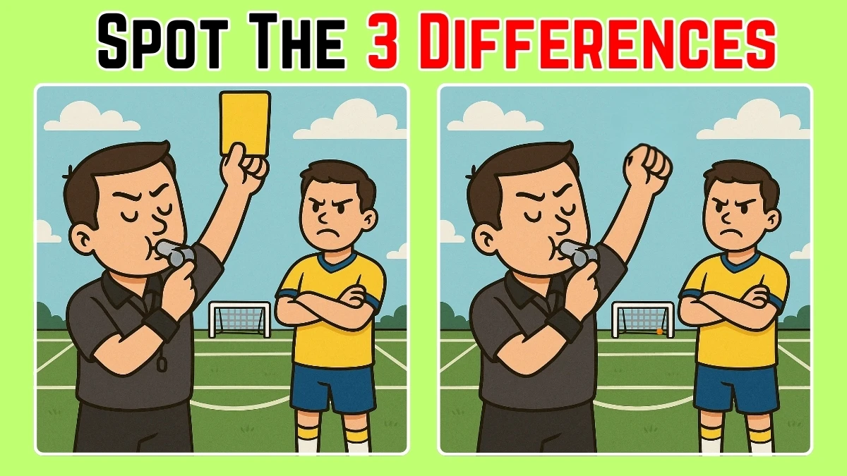 Spot the Difference: How attentive are you? Prove yourself by finding 3 differences in the referee picture in 10 Secs