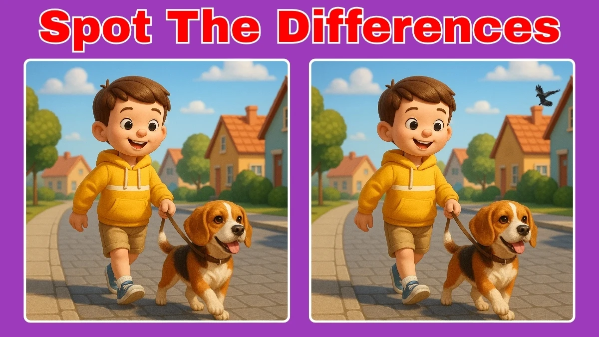 Spot the Difference: How attentive are you? Prove yourself by finding 3 differences in the Boy Walking with Dog picture in 10 Secs