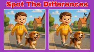 Spot the Difference: How attentive are you? Prove yourself by finding 3 differen...