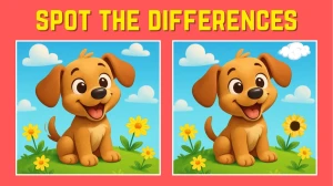 Spot the Difference: Only 1% of Visual Geniuses Can Find the 3 Differences – C...