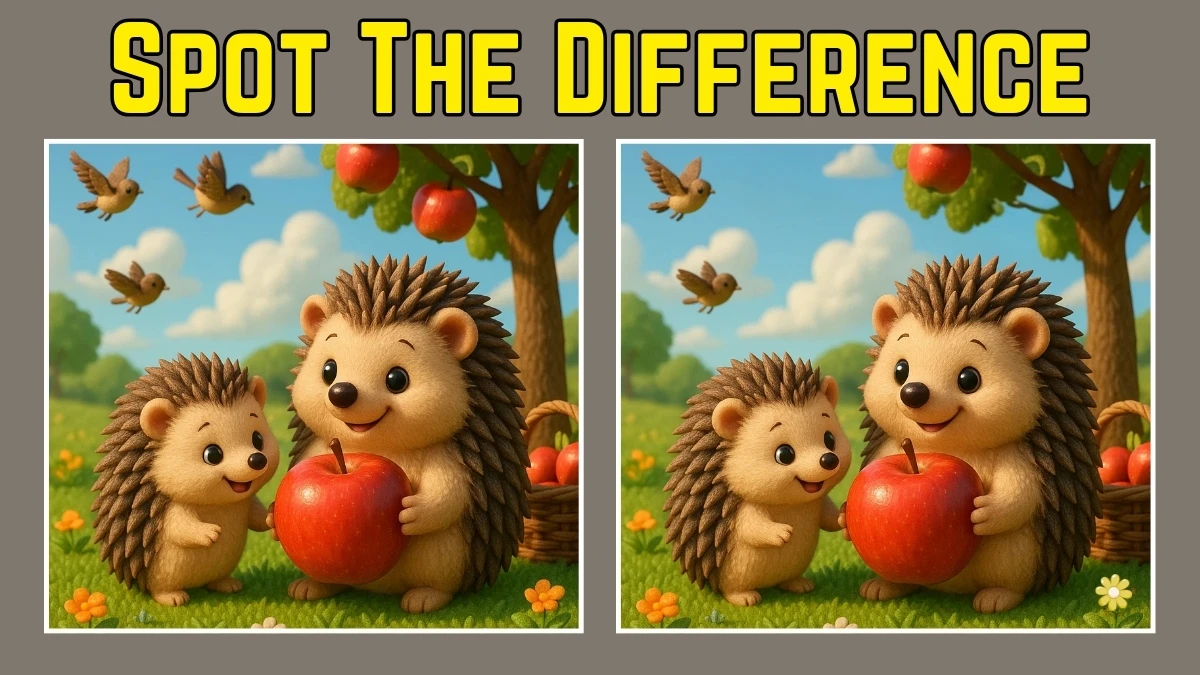 Spot the Difference: Only attentive individuals can spot 3 differences between the two pictures in 10 Secs