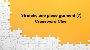 Stretchy one piece garment Crossword Clue Irish Daily Mail Quick 7 letters Answer Stretchy one piece garment Crossword Clue Irish Daily Mail Quick 7 letters Answer