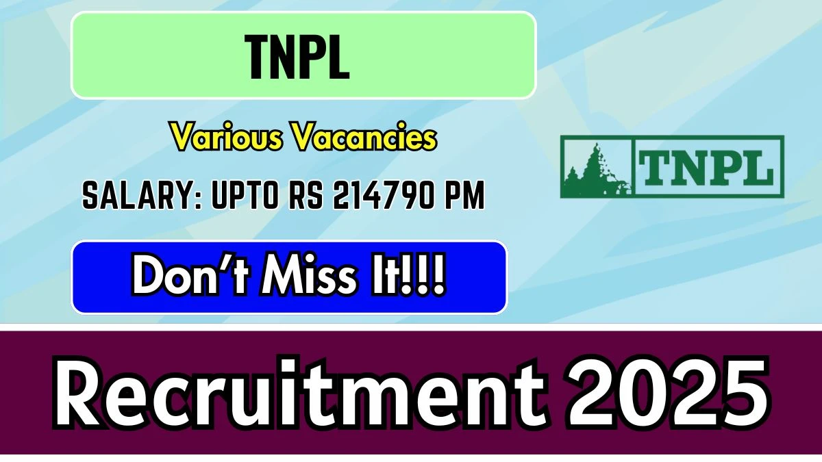 TNPL Recruitment 2025 - Apply Offline for 07 Assistant, Assistant Manager and Other Posts