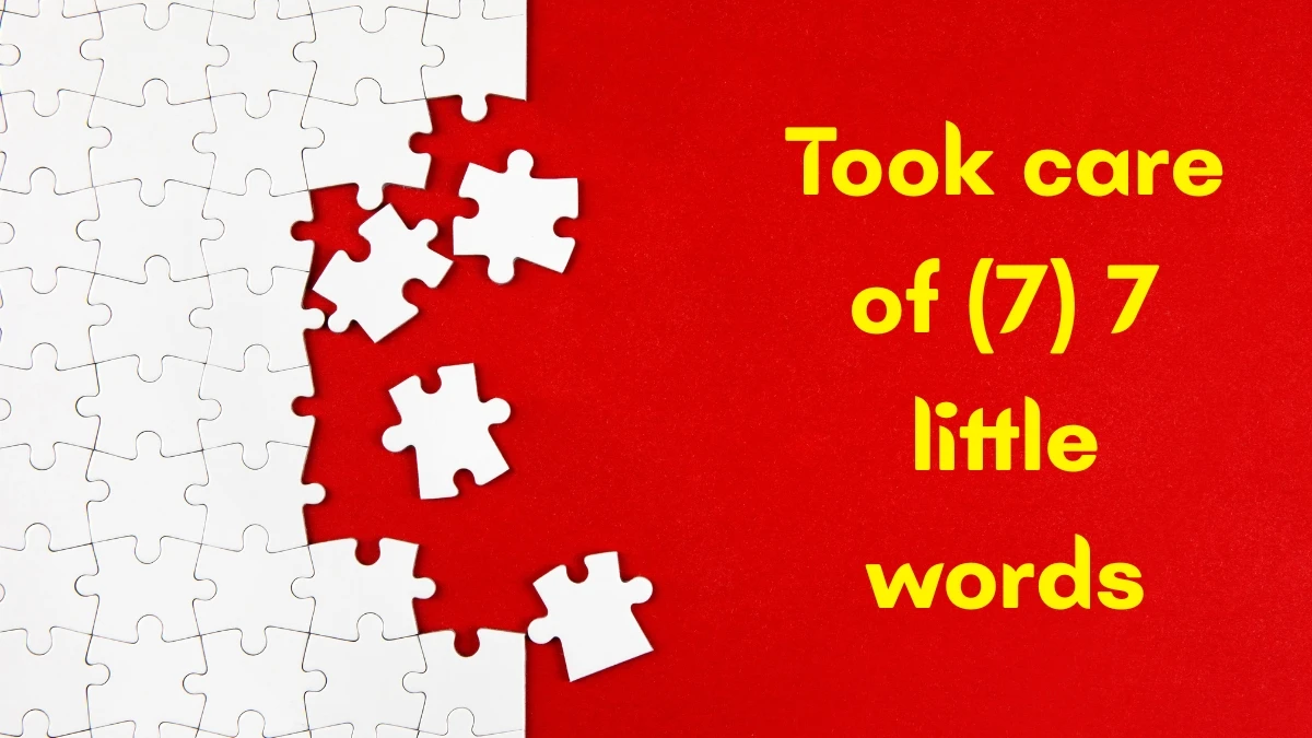 Took care of 7 Little Words 7 letters Answer