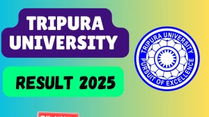 Tripura University Result 2025 Out at tripurauniv.ac.in Direct Link to Download 2nd and 4th Semester Result