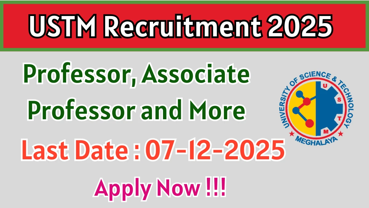 USTM Recruitment 2025 - Apply Offline for Professor, Associate Professor and More Posts