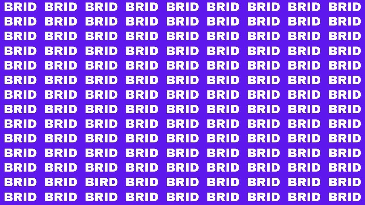 Visual Illusion: Within 6 Seconds Spot the Word BIRD among BRID