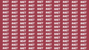 Visual Illusion: Within 6 Seconds Spot the Word NEAT among NAET