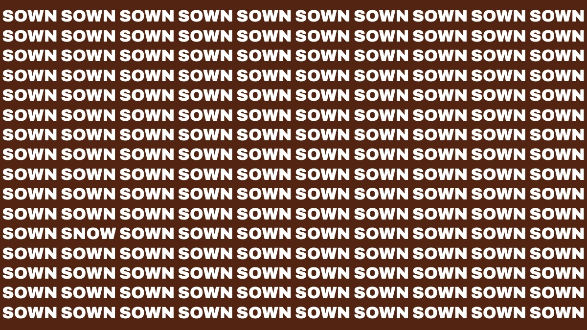 Visual Illusion: Within 7 Seconds Spot the Word SNOW among SOWN