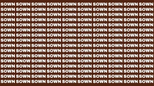 Visual Illusion: Within 7 Seconds Spot the Word SNOW among SOWN