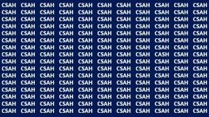 Visual Illusion: Within 7 Seconds Spot the Word CASH among CSAH