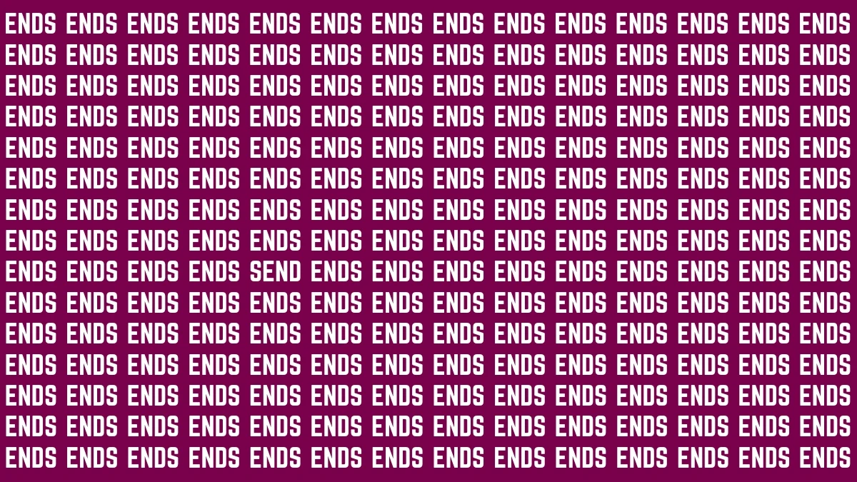 Visual Illusion: Within 7 Seconds Spot the word SEND among ENDS
