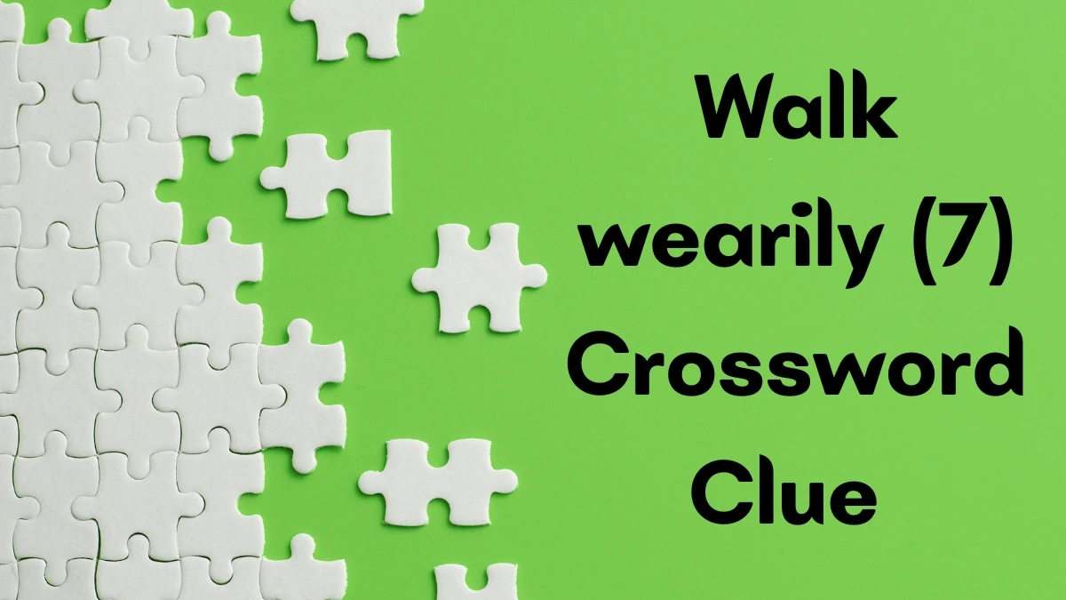 Walk wearily Crossword Clue Irish Daily Mail Quick 7 letters Answer
