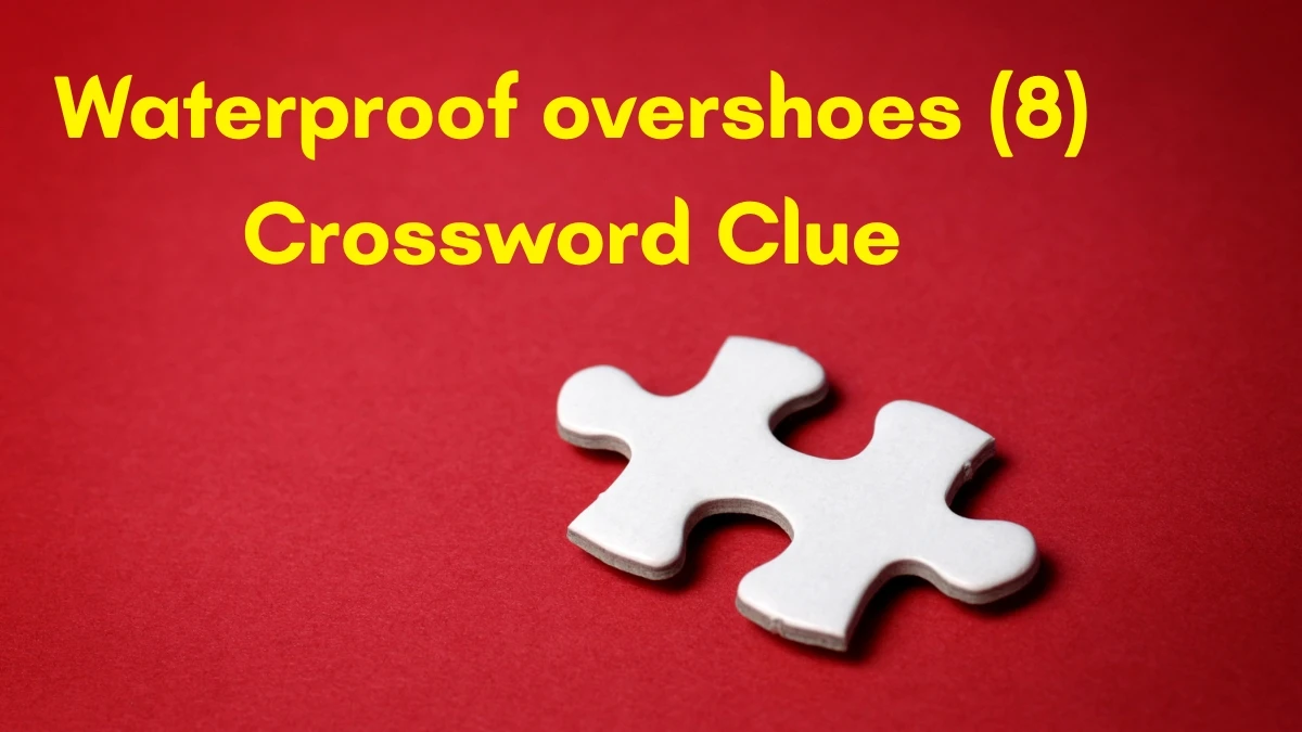 Waterproof overshoes Crossword Clue Irish Daily Mail Quick 8 letters Answer