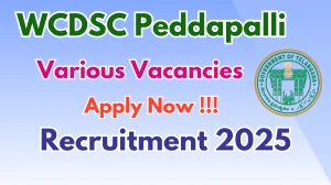 WCDSC Peddapalli Recruitment 2025 - Apply Offline for 17 DEO, Superintendent and More Posts