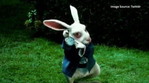 What is the White Rabbit Trend on TikTok? Trend Explained