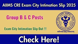 AIIMS CRE Exam City Intimation Slip 2025 Out – Download Link Here AIIMS CRE Exam City Intimation Slip 2025 Out – Download Link Here