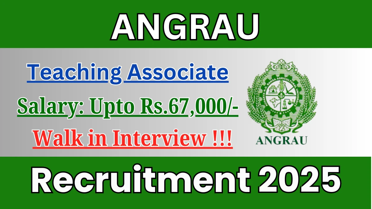 ANGRAU Teaching Associate Recruitment 2025 – Walk in