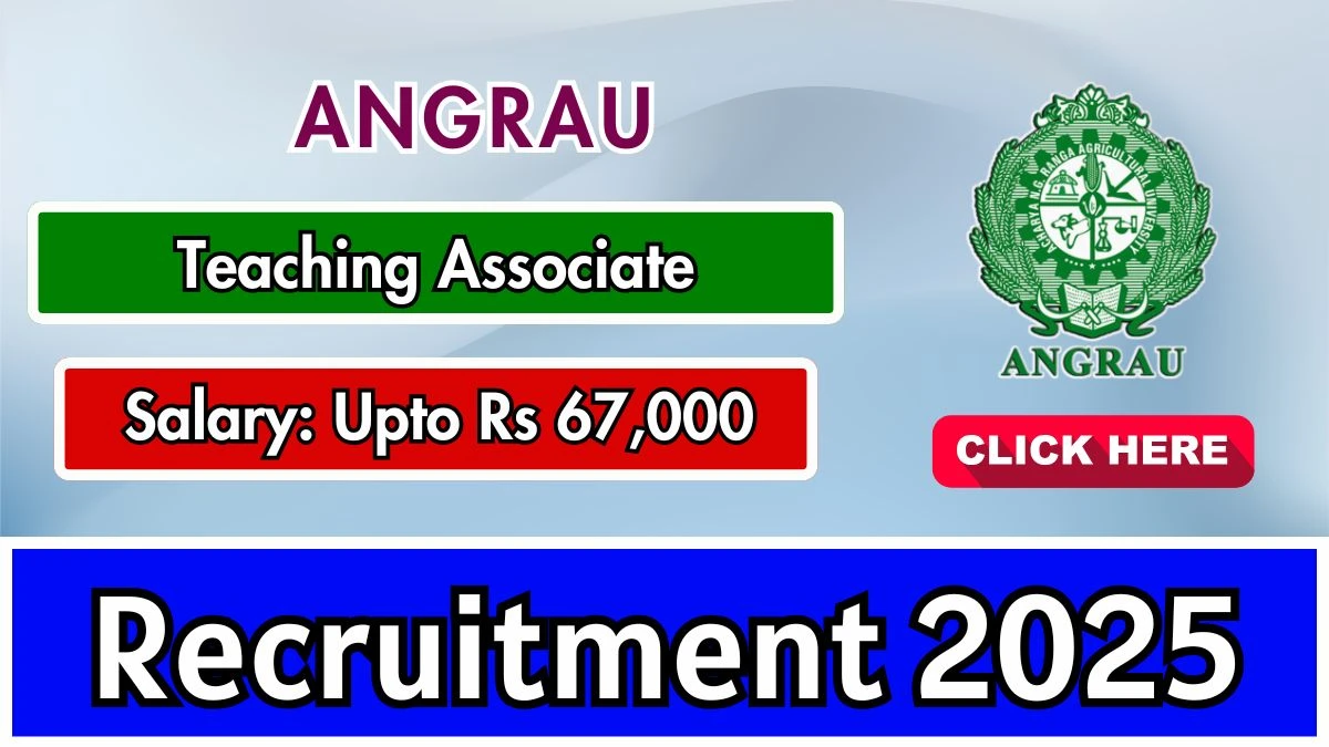 ANGRAU Teaching Associate Recruitment 2025 – Walk in