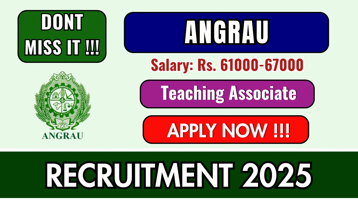 ANGRAU Teaching Associate Recruitment 2025 – Walk in for 01 Posts