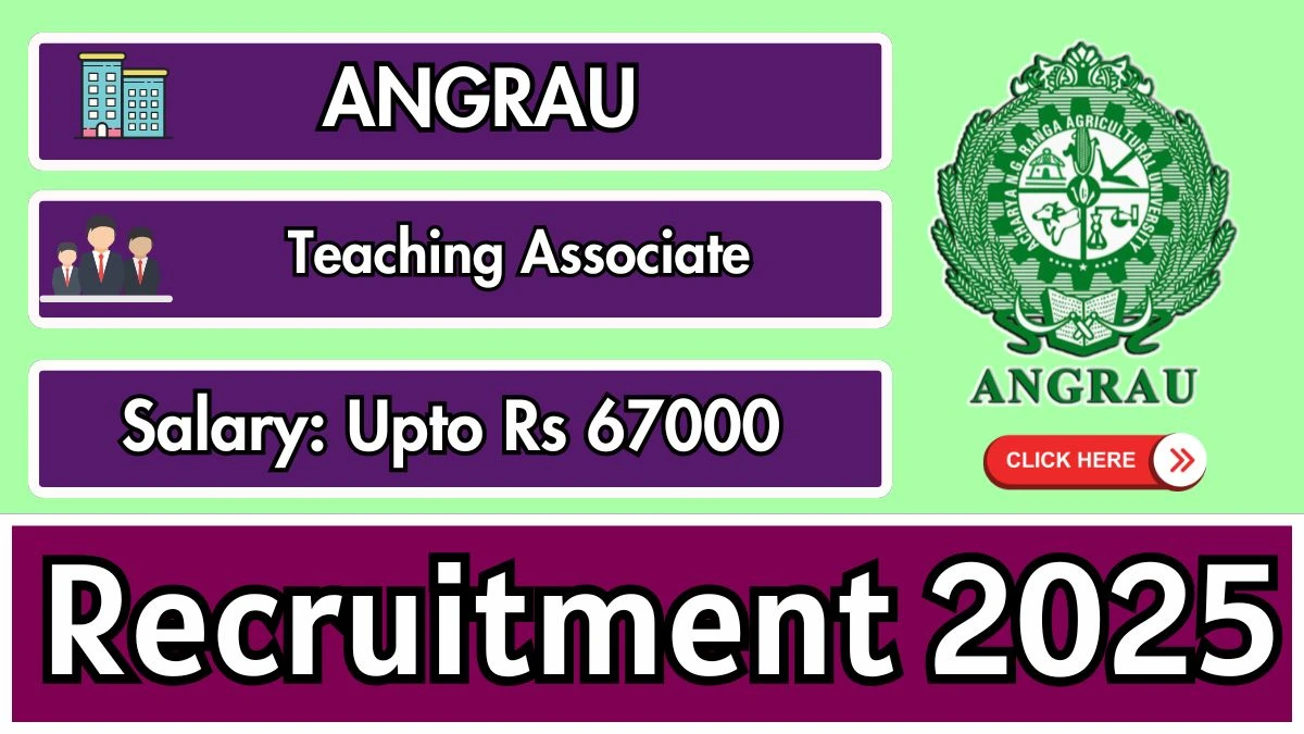 ANGRAU Teaching Associate Recruitment 2025 – Walk in