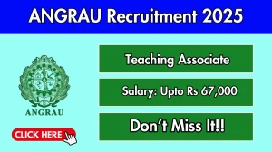 ANGRAU Teaching Associate Recruitment 2025 – Walk in
