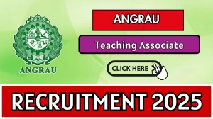 ANGRAU Teaching Associate Recruitment 2025 – Walk in for 01 Posts