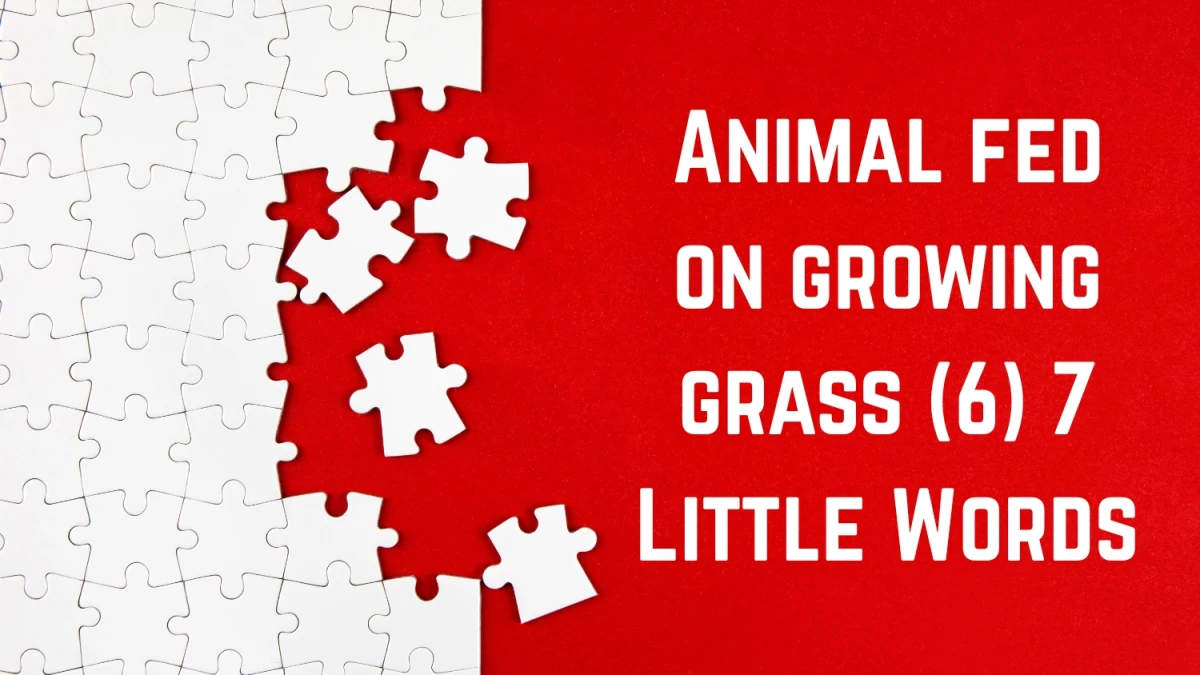 Animal fed on growing grass 7 Little Words 6 letters Answer