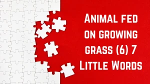 Animal fed on growing grass 7 Little Words 6 letters Answer