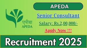 APEDA Senior Consultant Recruitment 2025 - Apply Offline