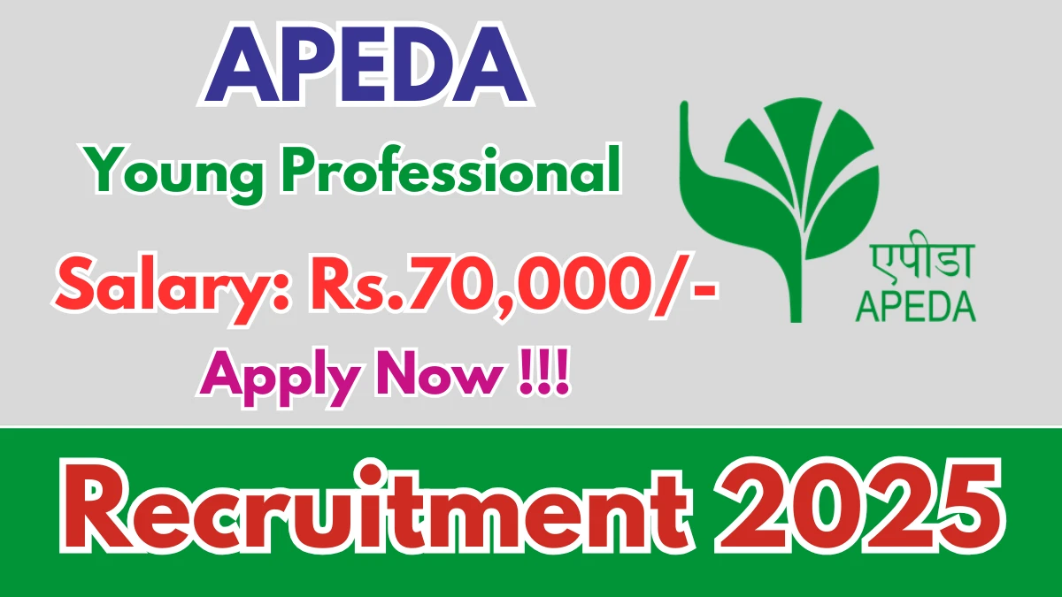 APEDA Young Professional Recruitment 2025 - Apply Offline