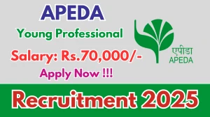 APEDA Young Professional Recruitment 2025 - Apply Offline