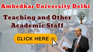 AUD Teaching and Academic Staff Recruitment 2025 - Apply Online for 71 Posts