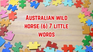 Australian wild horse 7 Little Words 6 letters Answer