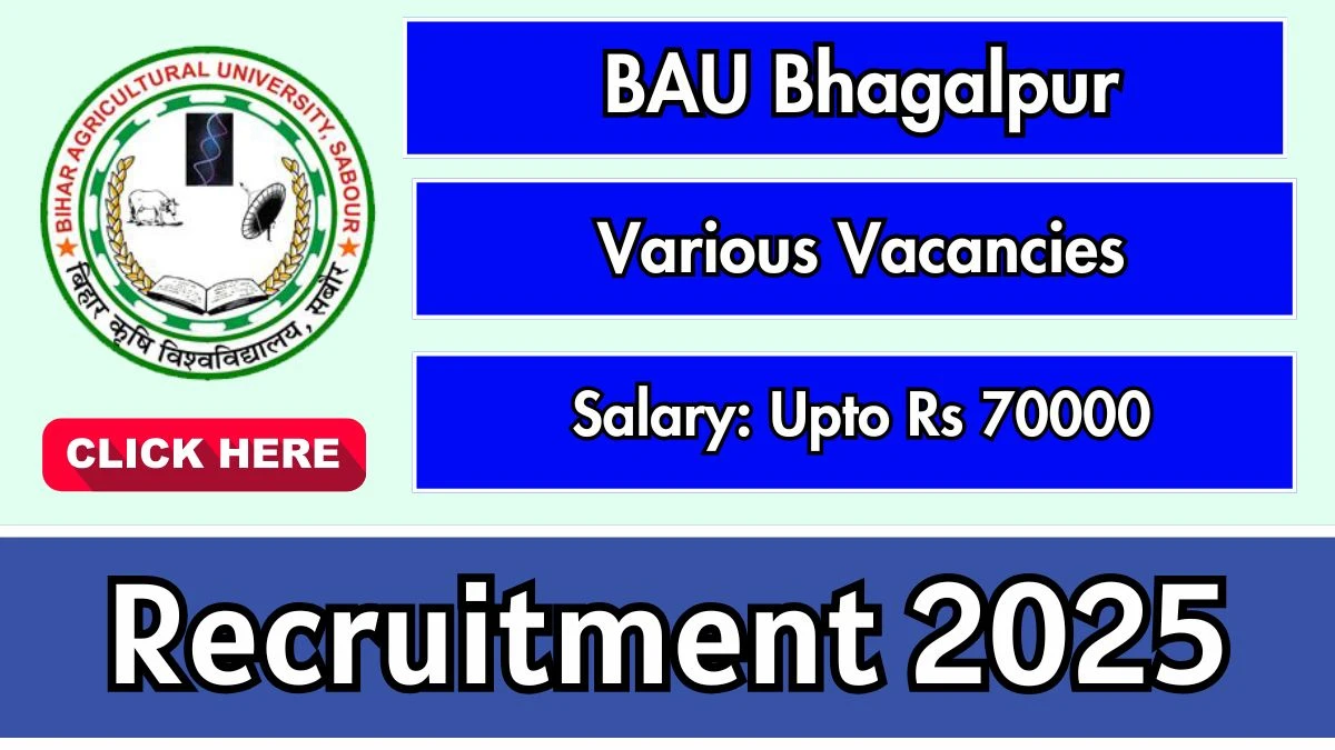BAU Bhagalpur Recruitment 2025 – Walk in for 08 Research Associate, Technical Assistant and Other Posts