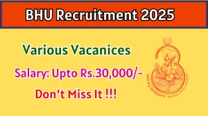 BHU Recruitment 2025 - Apply Offline for 07 Program Assistant, Hospital Attendant and More Posts