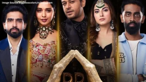 Bigg Boss 19 Grand Finale: Who will be the Winner of Bigg Boss 19? When and Wher...