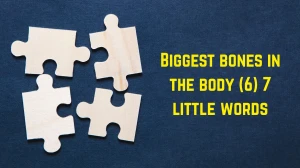Biggest bones in the body 7 Little Words 6 letters Answer