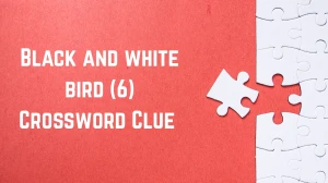 Black and white bird Crossword Clue Irish Daily Mail Quick 6 letters Answer