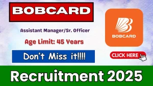 BOBCARD Assistant Manager/Sr. Officer Recruitment 2025 - Apply Online