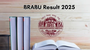 BRABU Result 2025 Out at brabu.net Direct Link to Download Result