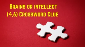 Brains or intellect Crossword Clue Irish Daily Mail Quick (4,6) letters Answer