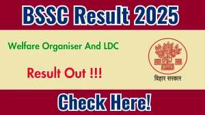 BSSC Welfare Organiser And LDC Result 2025 OUT (Direct Link) - Download Scorecard @bssc.bihar.gov.in