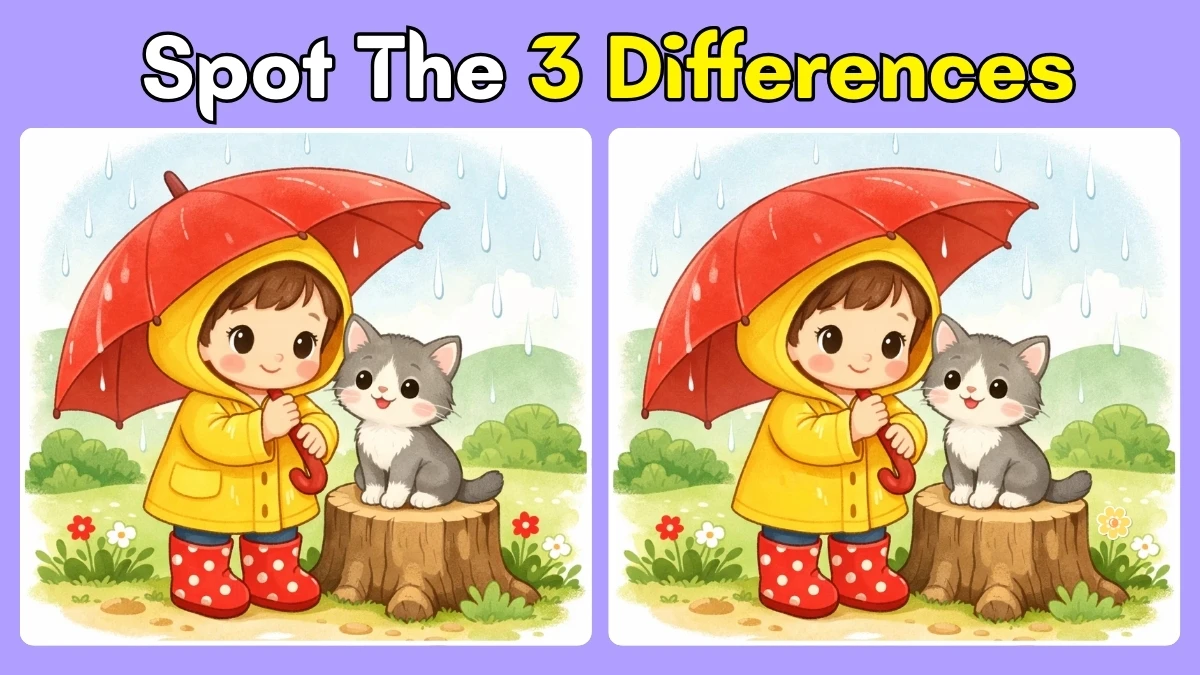 Can You Spot 3 Differences in This Rainy Day Scene Within 13 Seconds?